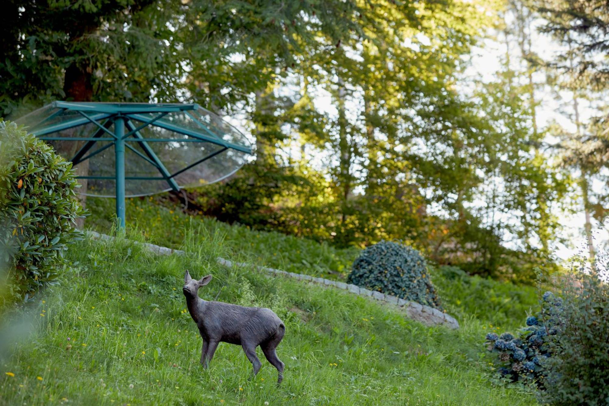 Hotel Dollenberg Bad Peterstal-Griesbach Δωμάτιο φωτογραφία